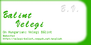 balint velegi business card